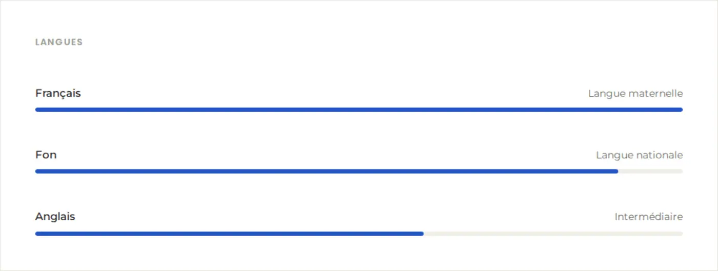 Section Langues avec le niveau en français, en fon et en anglais